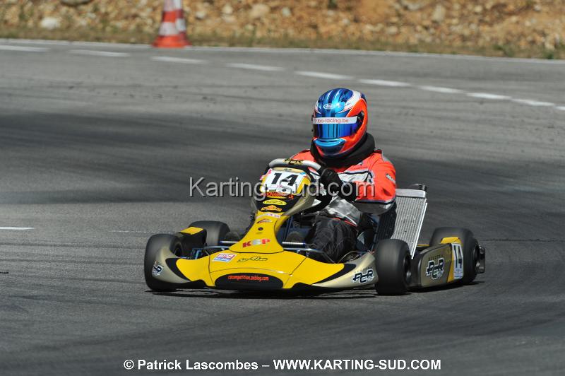 DSC_ (875).JPG